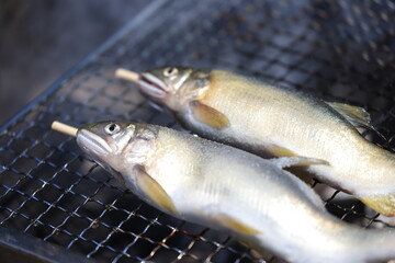 網で鮎の塩焼き