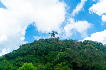 hilltop with beautiful sky and clouds
