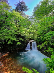 Fototapeta na wymiar 新緑の大泉の滝