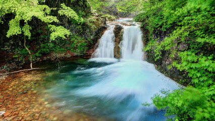 Fototapeta na wymiar 新緑の大泉の滝