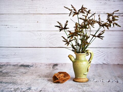 Grass in vase on table and old vintage background ,Cyperus haspan flowerhead dry grass still life ,copy space for letter ,wooden old wall black and white ,old style ,desert rose ,flowers in vase