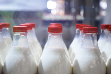 Row of bottles with pasteurized milk on conveyor belt
