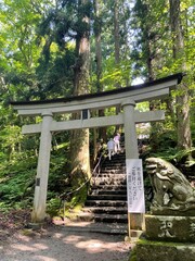 wooden bridge in the park