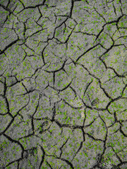 cracked soil background