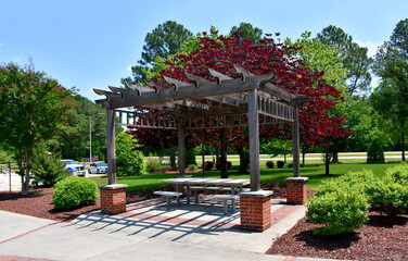 Outdoor Seating Area