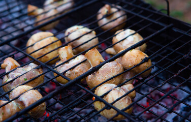 Champignons in sauce are grilled in nature. Rest on a picnic with cooking on a campfire