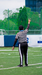Male referee during a football match