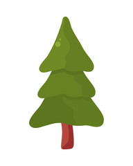 pine tree icon