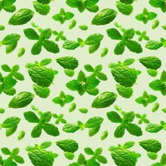 Seamless pattern of fresh mint leaves on green background for packaging design. peppermint abstract background. © Ilja