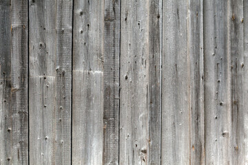 The background is made of old wooden boards.