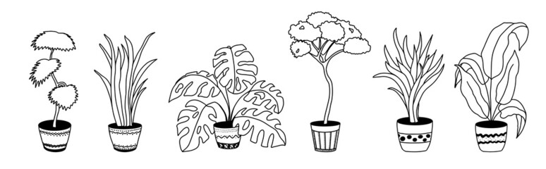 Potted flowers, home decor. Hand drawing, linear black and white sketch. Large outdoor indoor plants . Monstera, palm, spathiphyllum, sanseviera. Vector illustration