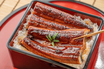 うな重　鰻料理