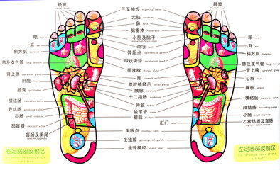 Plakat acupuncture point at foot