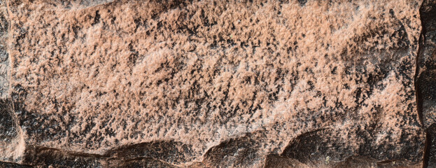 The texture of the surface of a brown and black concrete wall, uneven cement pattern with cracks on the background with space to copy, panoramic view