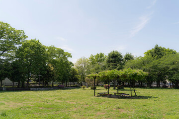 神奈川県川崎市にある緑あふれる広場