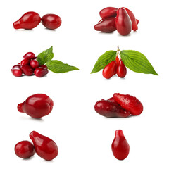 Ripe red cornel berries with green leaves on white background