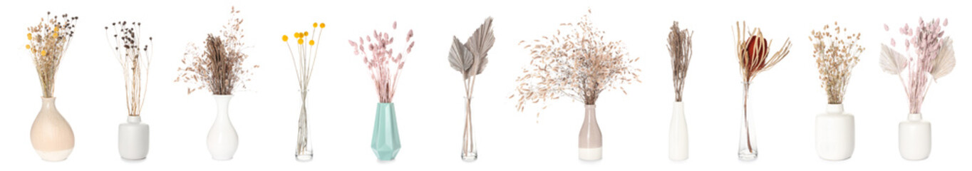 Set of dried flowers in vases on white background