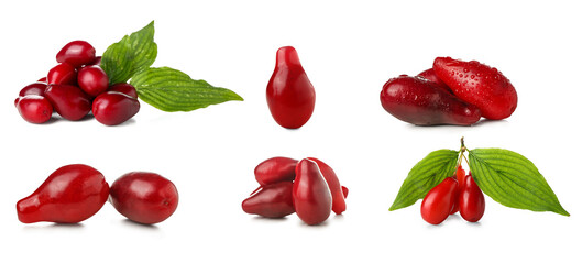Ripe red cornel berries with green leaves on white background