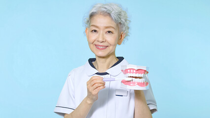 歯磨き指導するシニア女性　歯医者　歯科助手
