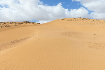 Fototapeta na wymiar sand dunes in Arava desert Israel
