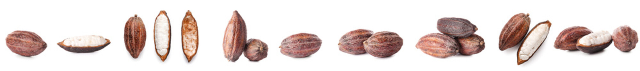 Set of fresh cocoa fruits on white background