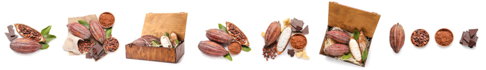 Set of fresh cocoa fruits isolated on white