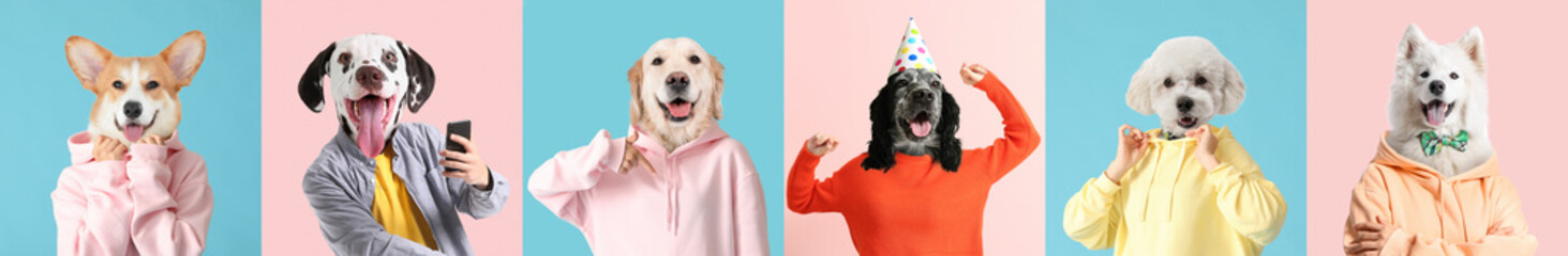 Fototapeta Set of people with dogs heads on colorful background obraz