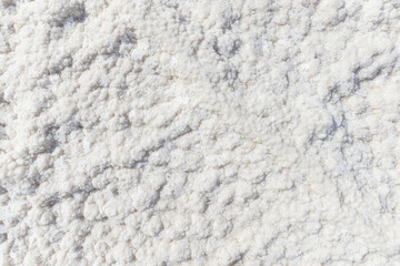  salt of the dead sea in israel