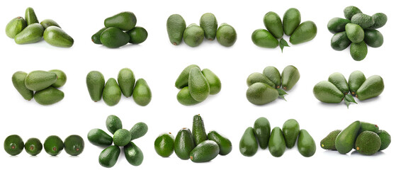 Set of fresh avocado isolated on white