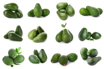 Set of fresh avocado isolated on white