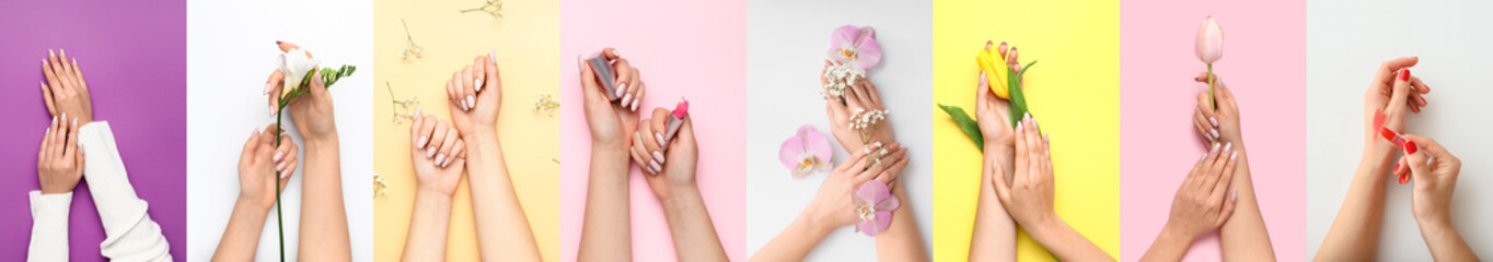 Set of female hands with beautiful manicure and flowers on colorful background, top view