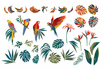 Vector illustrations of parrots, tropical leaves, bananas. Clipart, isolated elements. - obrazy, fototapety, plakaty