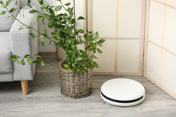 Modern robot vacuum cleaner and houseplant near folding screen in living room