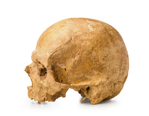 Ancient human skull isolated on white background