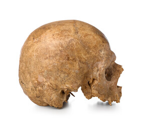 Ancient human skull isolated on white background