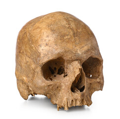 Ancient human skull isolated on white background