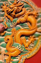 Fototapeta premium dragon pattern