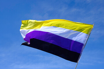 Non-binary flag fluttering in the wind over a radiant blue sky.
