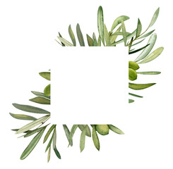 Watercolor hand drawn frame with olive leaf and olives.