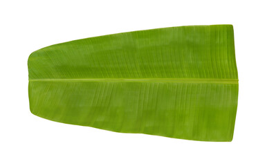 Fresh green Banana Leaf isolated on white background for serving food Indian tradition and culture. - obrazy, fototapety, plakaty