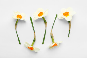 Beautiful narcissus flowers isolated on white, top view