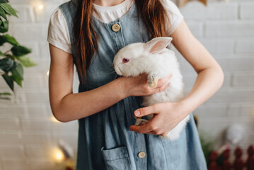A girl hugs a cute white rabbit at home. A girl with a rabbit, a rabbit's pet. close-up of a girl's hands clutching a white rabbit in the studio.