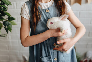 A girl hugs a cute white rabbit at home. A girl with a rabbit, a rabbit's pet. close-up of a girl's hands clutching a white rabbit in the studio.