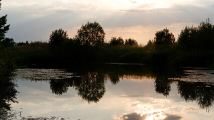Fototapeta na wymiar Summer sunset over rural pond or overgrown lake