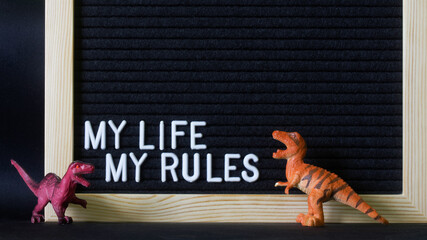 The inscription: My life my rules on a black felt board next to toy dinosaurs. A possible element of design and decoration of a teenager's room.