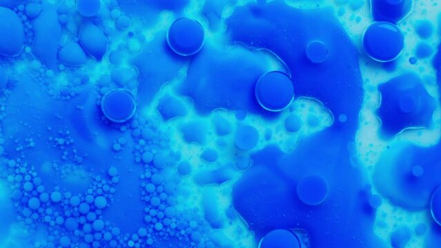 Bright Collors Bubbles Slow Motion Oil Beautiful Paint Surface. Surface tension. Interaction of liquids of different density. The beauty of physics.