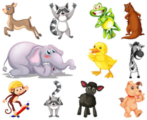 Obraz na płótnie Canvas Set of animal cartoon character