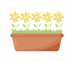 Flowers in long  floral pot. Long pot with different growth plants and flowers. Design element for home or office decor and botanical design. Colored flat vector illustration