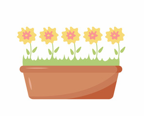 Yellow flowers in a long pot. Home plants for the interior. Design elements for applications, banners, advertising posters, book illustrations. Vector illustration in flat style