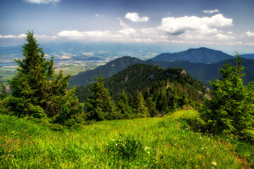 Fototapeta na wymiar Summer mountain meadow on hillside of hill
